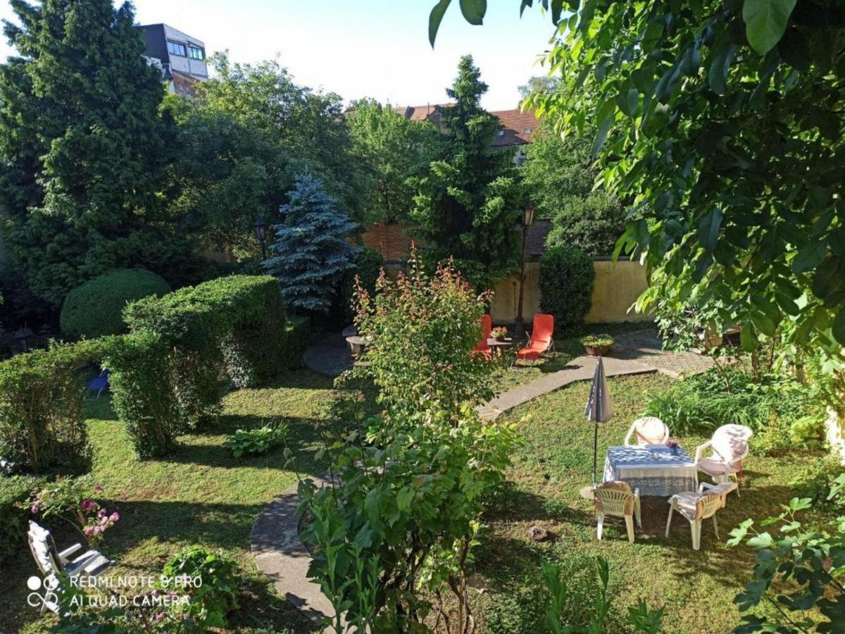 Cocic Garden Daire Ösek Dış mekan fotoğraf