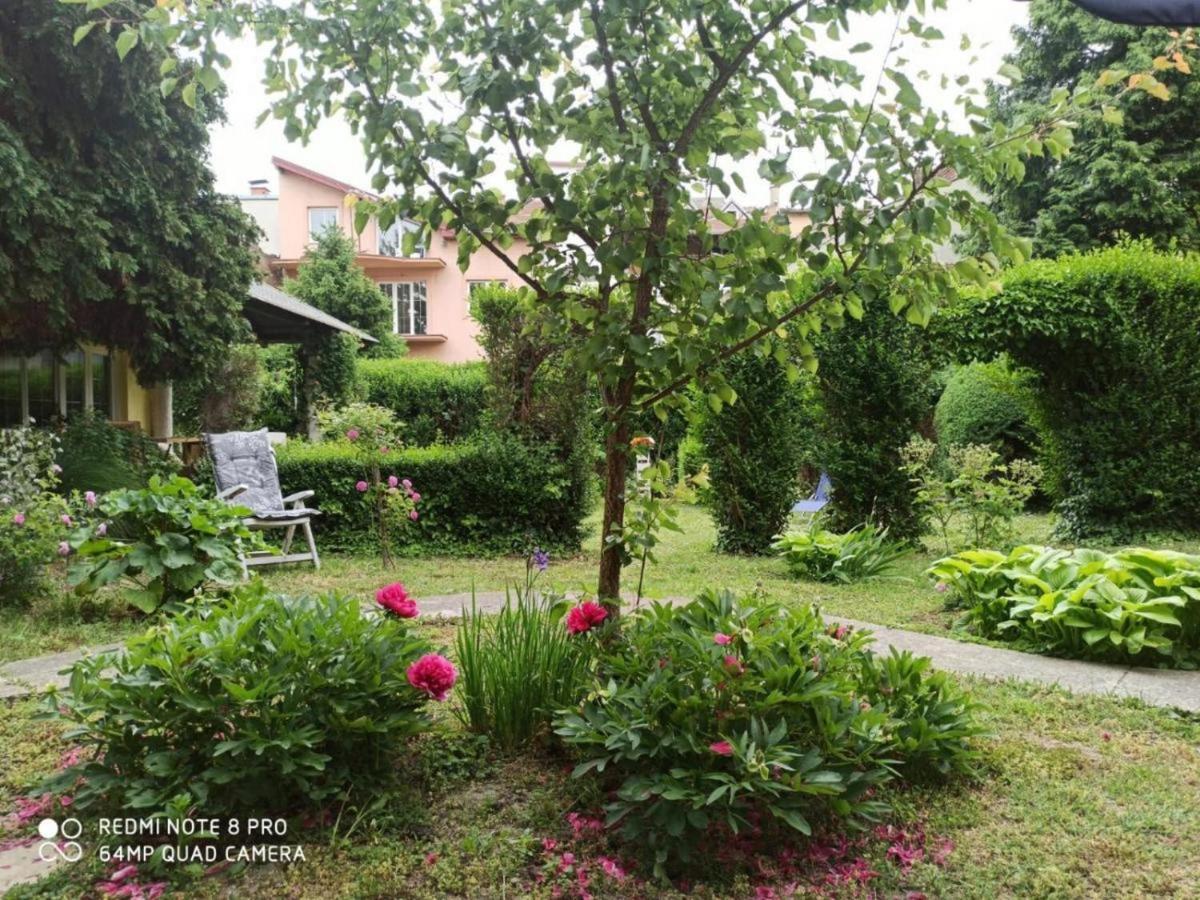 Cocic Garden Daire Ösek Dış mekan fotoğraf