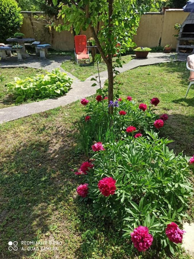 Cocic Garden Daire Ösek Dış mekan fotoğraf