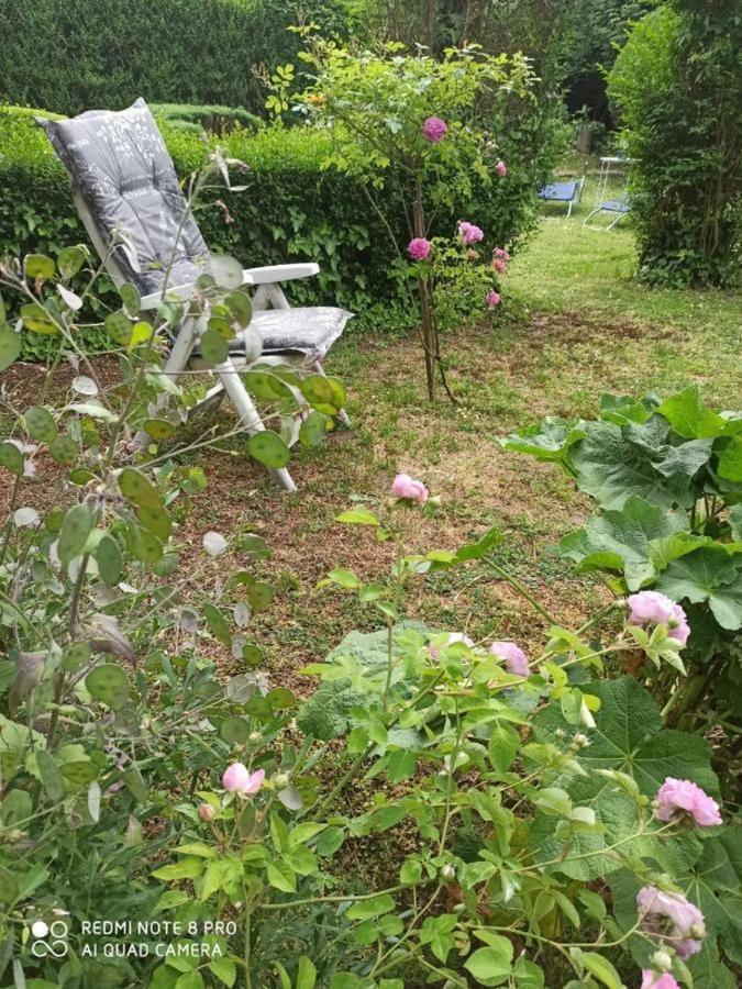 Cocic Garden Daire Ösek Dış mekan fotoğraf